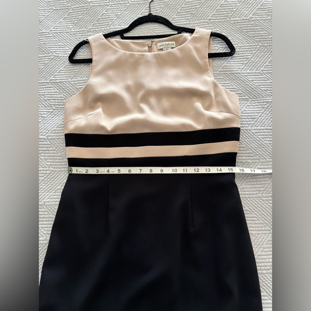 Ann Taylor Tan and Black Triacetate Sheath Dress - Picture 5 of 7